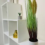 S&s Studio In Town Parcare La Locatie !!! * Timisoara
