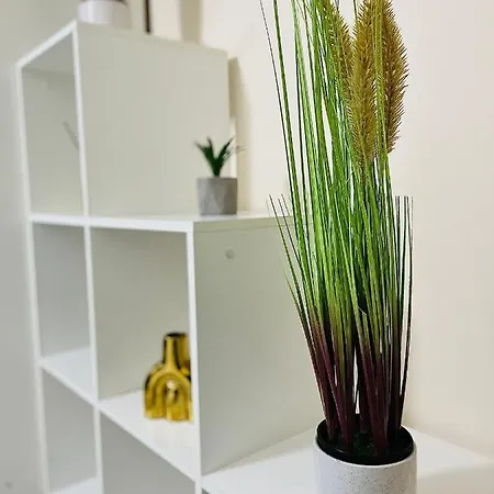 S&s Studio In Town Parcare La Locatie !!! * Тімішоара