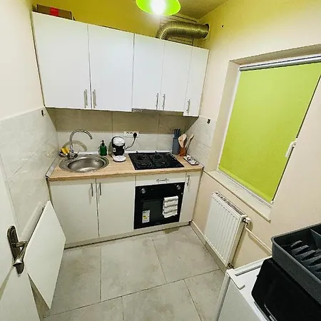 S&s Studio In Town Parcare La Locatie !!! Апартаменти Тімішоара