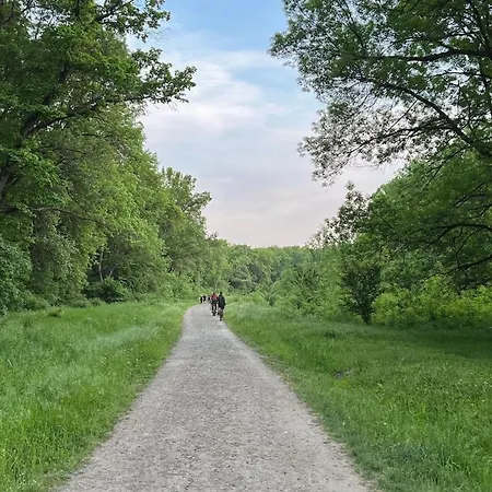 S&s Studio In Town Parcare La Locatie !!! Тімішоара