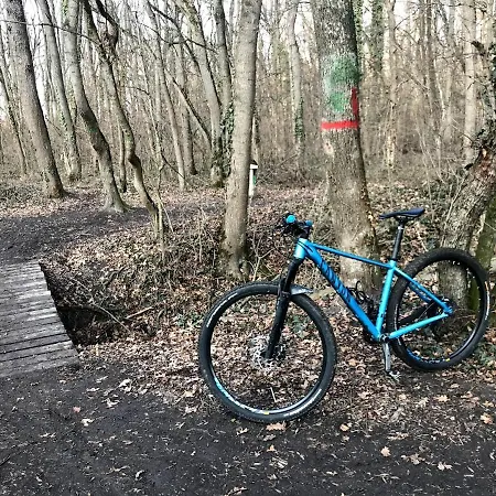 Апартаменти S&s Studio In Town Parcare La Locatie !!! Тімішоара