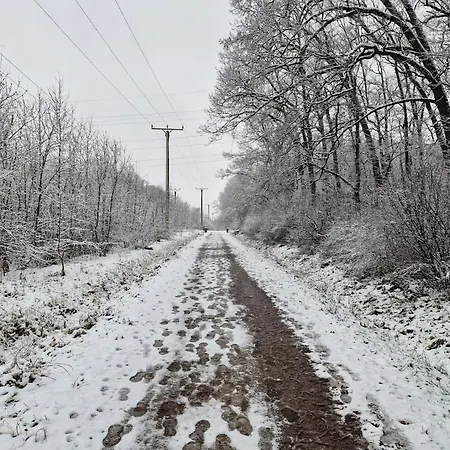 S&s Studio In Town Parcare La Locatie !!! *