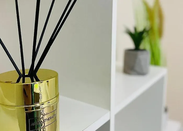 S&s Studio In Town Parcare La Locatie !!! * Тимишоара