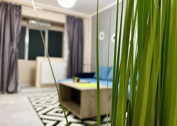 Апартаменты S&s Studio In Town Parcare La Locatie !!!