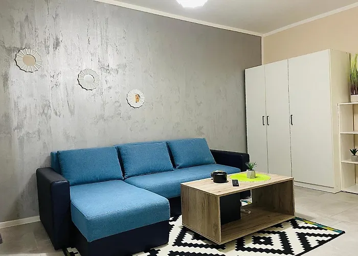 S&s Studio In Town Parcare La Locatie !!! * Тимишоара