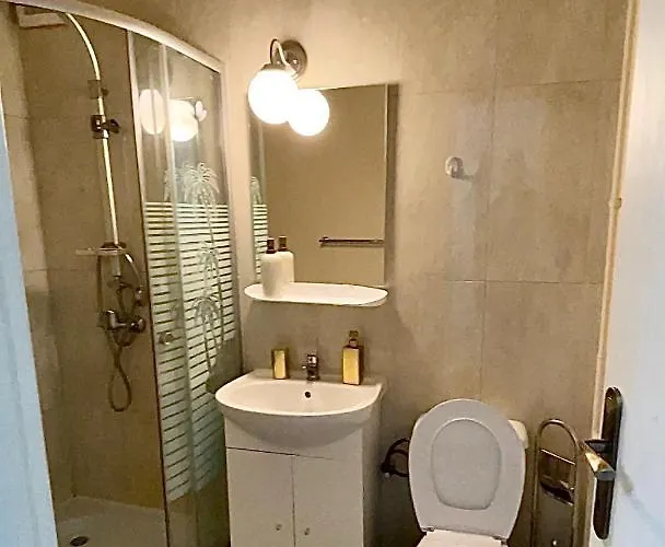 S&s Studio In Town Parcare La Locatie !!! Тимишоара