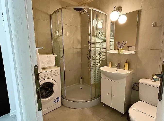 S&s Studio In Town Parcare La Locatie !!! Timişoara