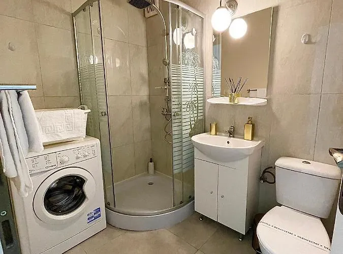 S&s Studio In Town Parcare La Locatie !!! * Timişoara