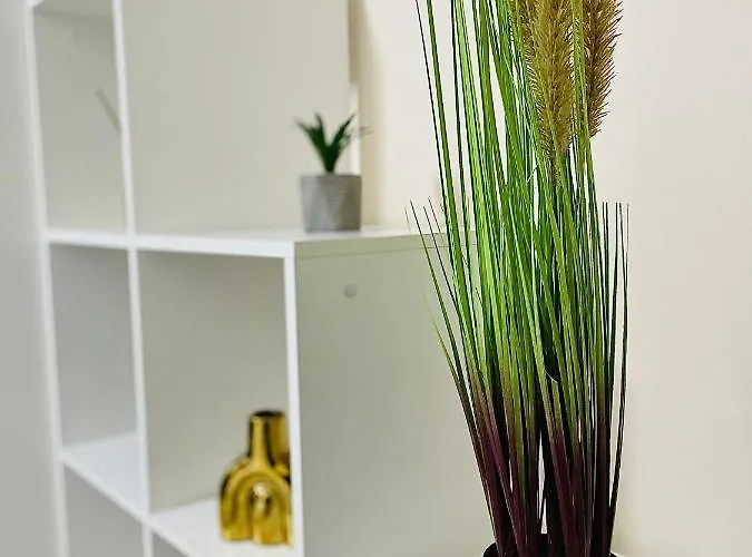 S&s Studio In Town Parcare La Locatie !!! * Тимишоара