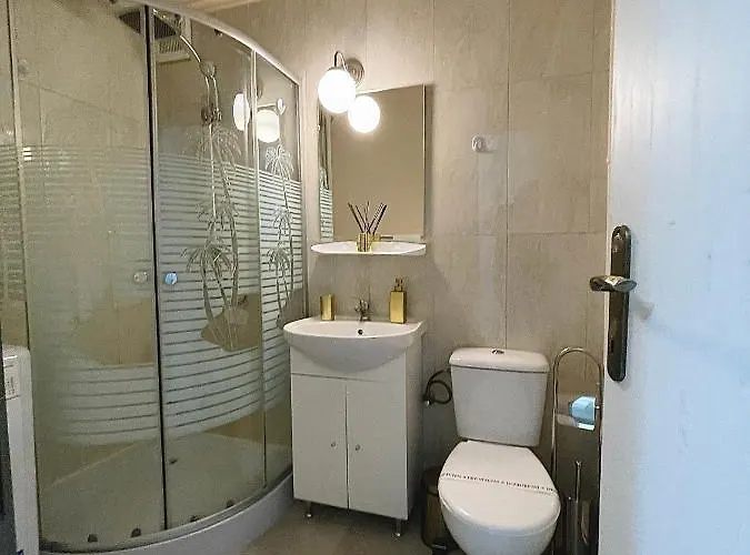 S&s Studio In Town Parcare La Locatie !!! * Тимишоара