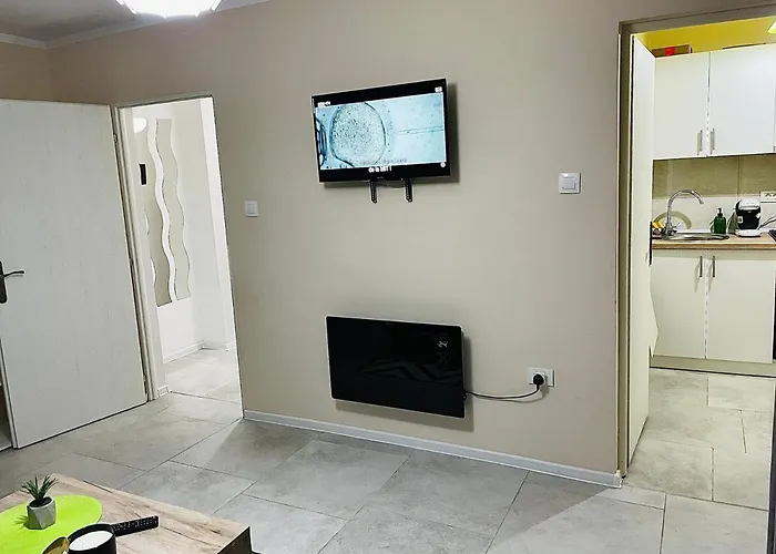 S&s Studio In Town Parcare La Locatie !!! Тимишоара