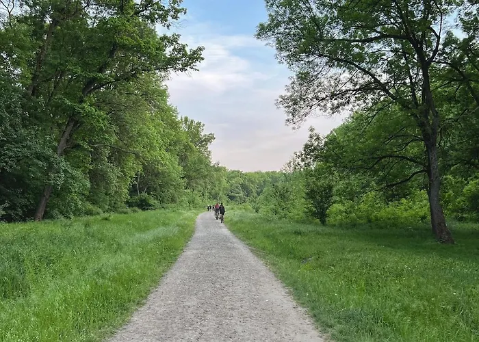 S&s Studio In Town Parcare La Locatie !!! Timişoara