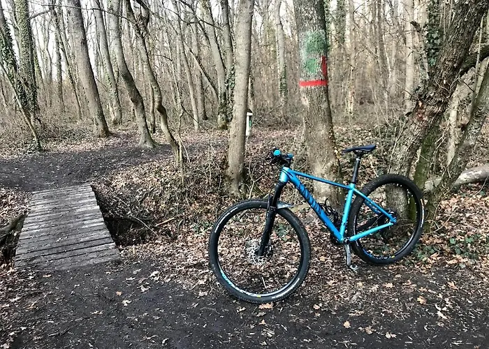 Apartment S&s Studio In Town Parcare La Locatie !!! Timişoara