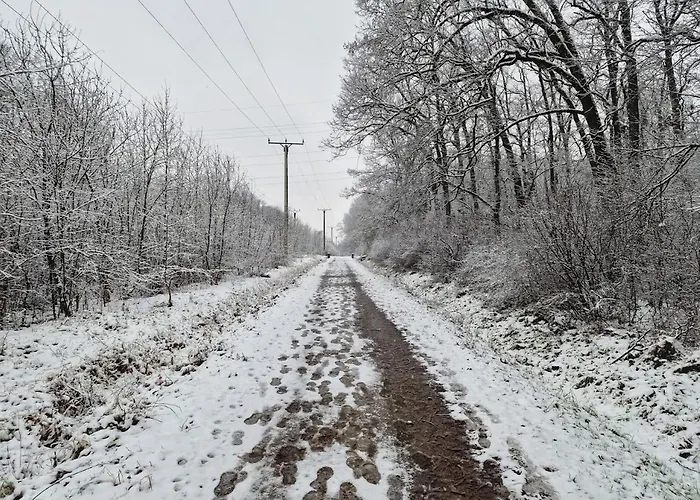 S&s Studio In Town Parcare La Locatie !!! *