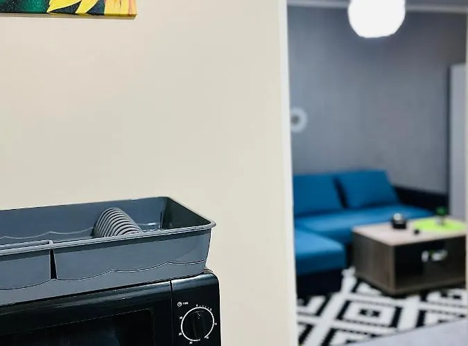 S&s Studio In Town Parcare La Locatie !!! * Timisoara