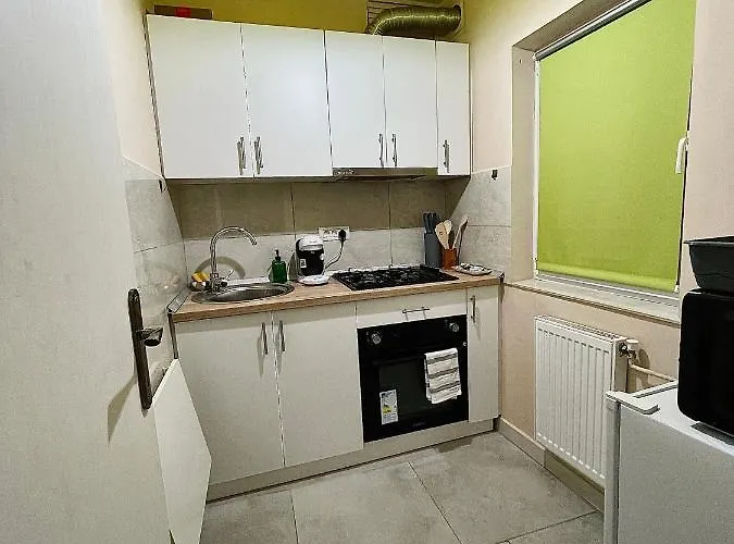 S&s Studio In Town Parcare La Locatie !!! Apartment