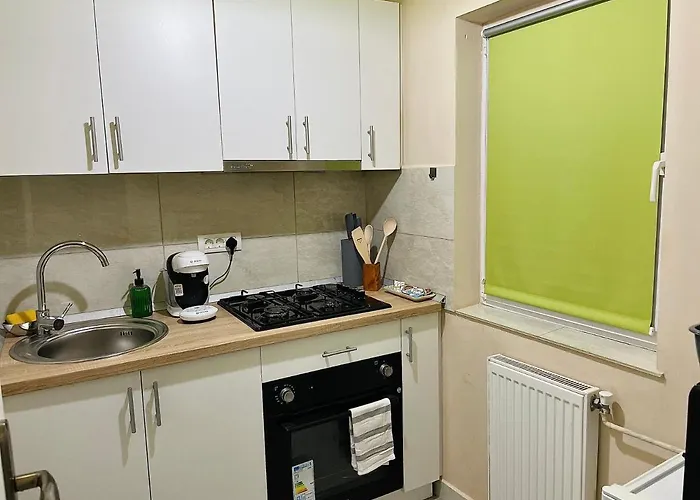 S&s Studio In Town Parcare La Locatie !!! Apartment Timisoara