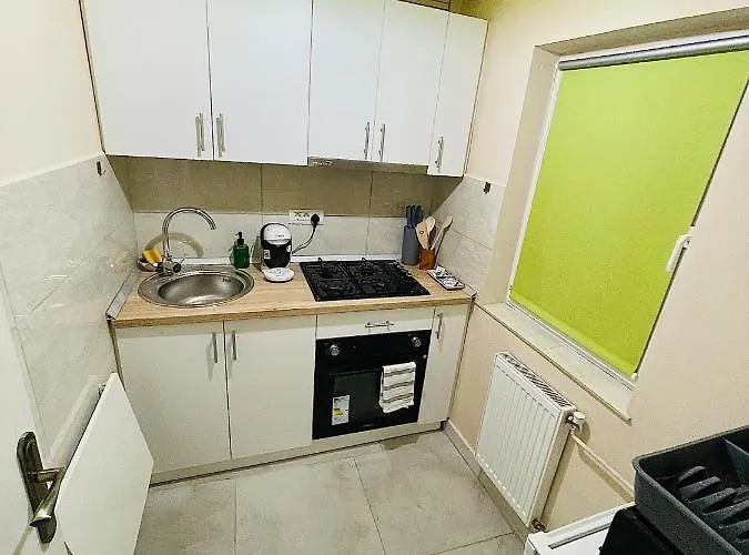 S&s Studio In Town Parcare La Locatie !!! Apartment Timisoara